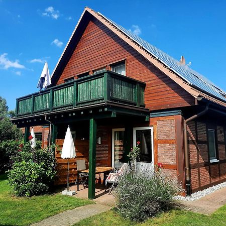 Ferienhaus Sasse Ferienwohnungen Mit Garten & Grill Molschow Bagian luar foto