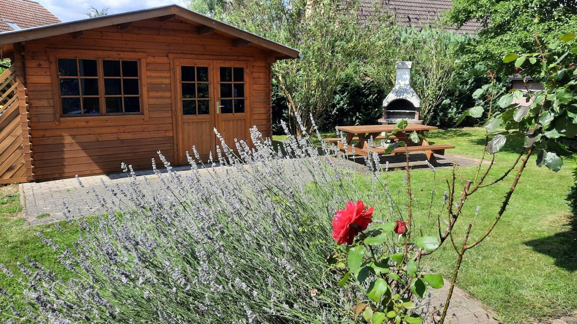 Ferienhaus Sasse Ferienwohnungen Mit Garten & Grill Molschow Bagian luar foto